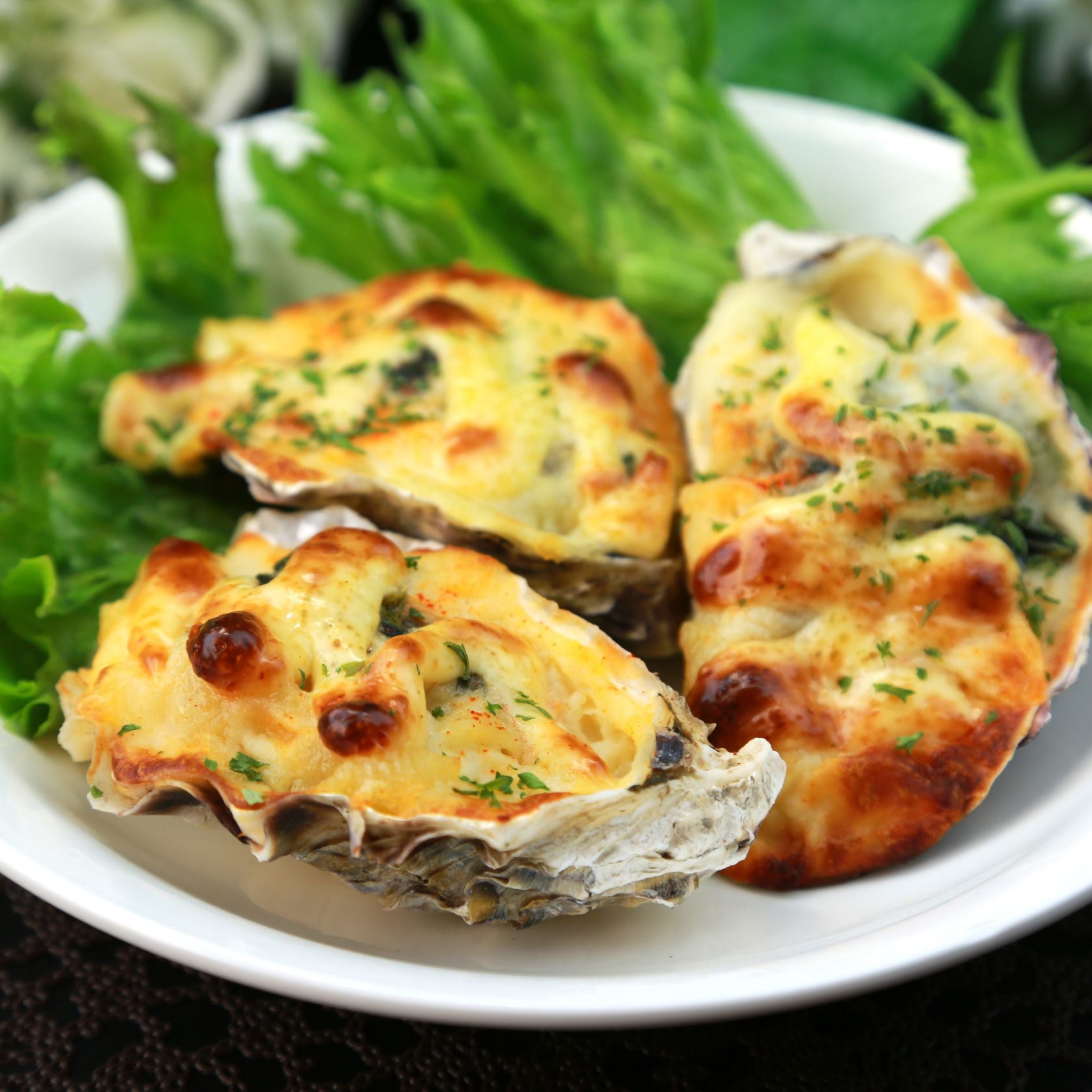 Gegratineerde oesters - Alles wat je moet weten - Top 3 recepten