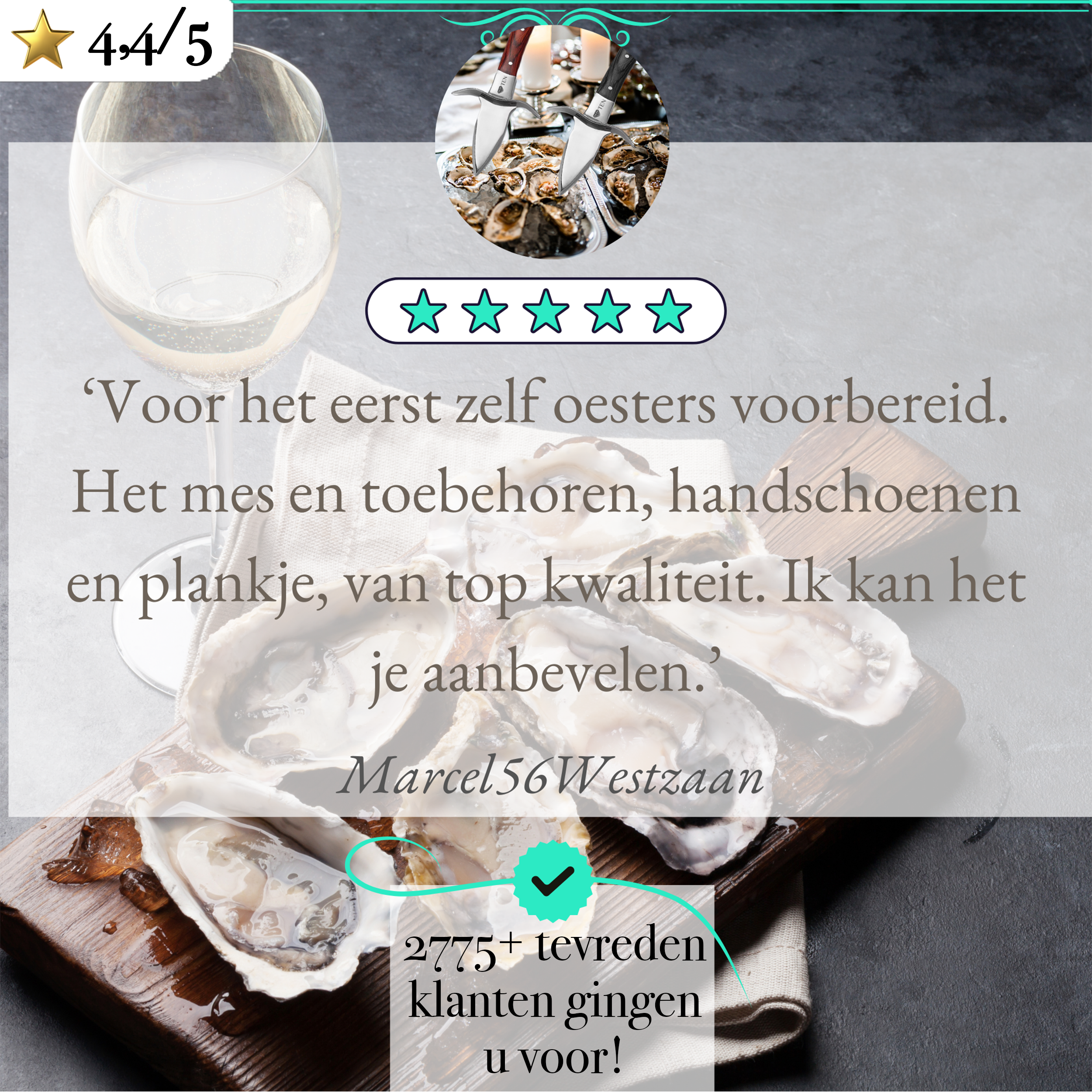 TEN® Oestermes Bruin - Perfect voor Oesters Openen - Tenkitchen.store